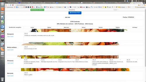 Nutritional software which makes automatically personalized diets. 