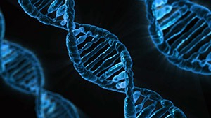 Biological Sciences
